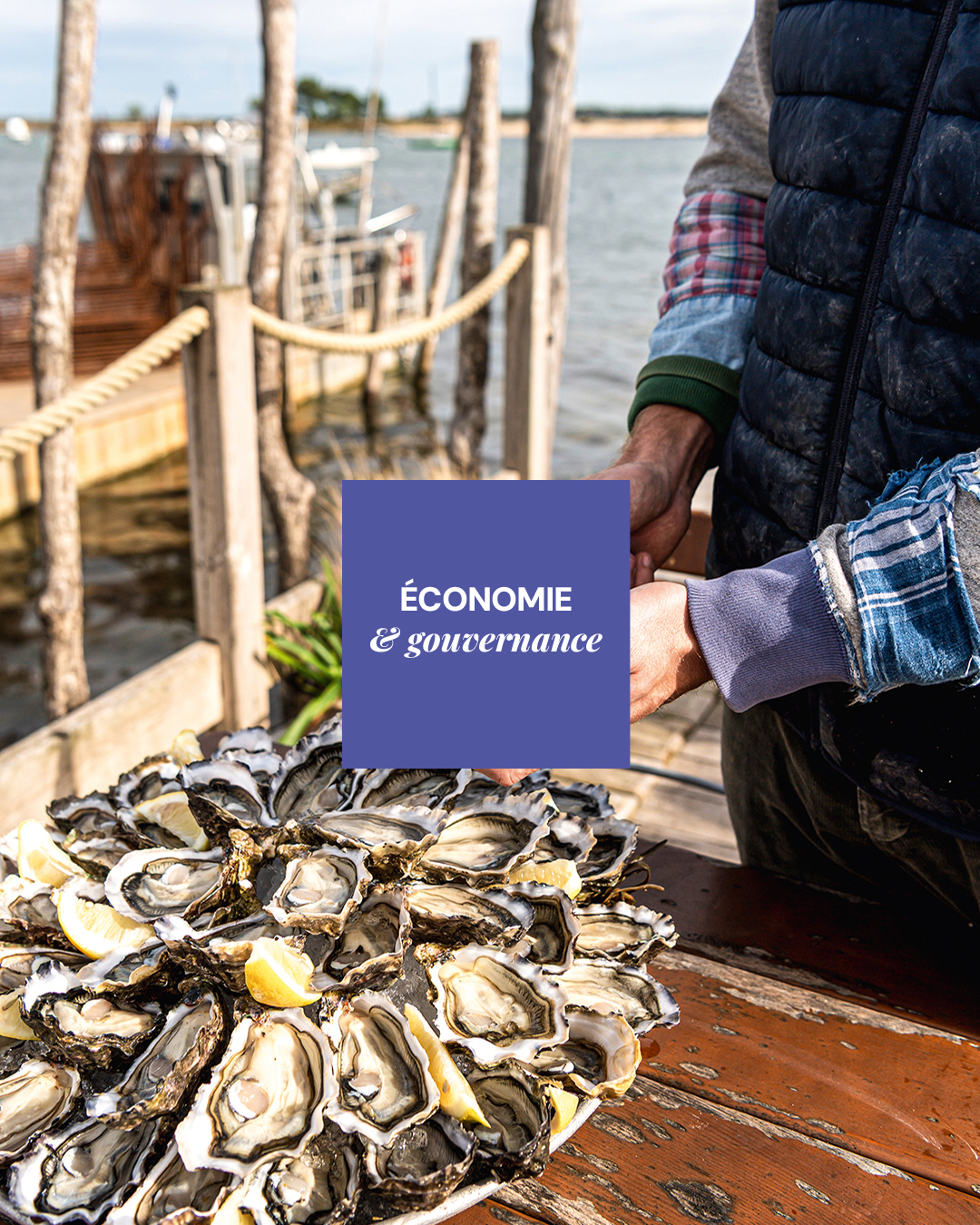 Économie et gouvernance